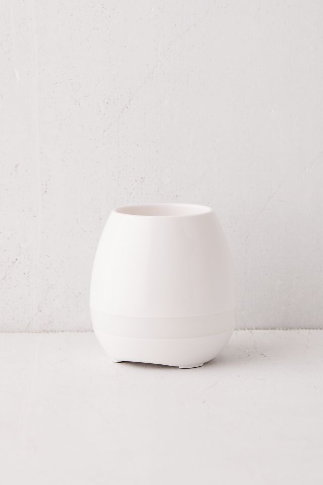 Planter Bluetooth Speaker #2