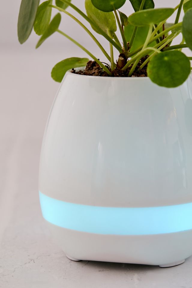 Planter Bluetooth Speaker #4