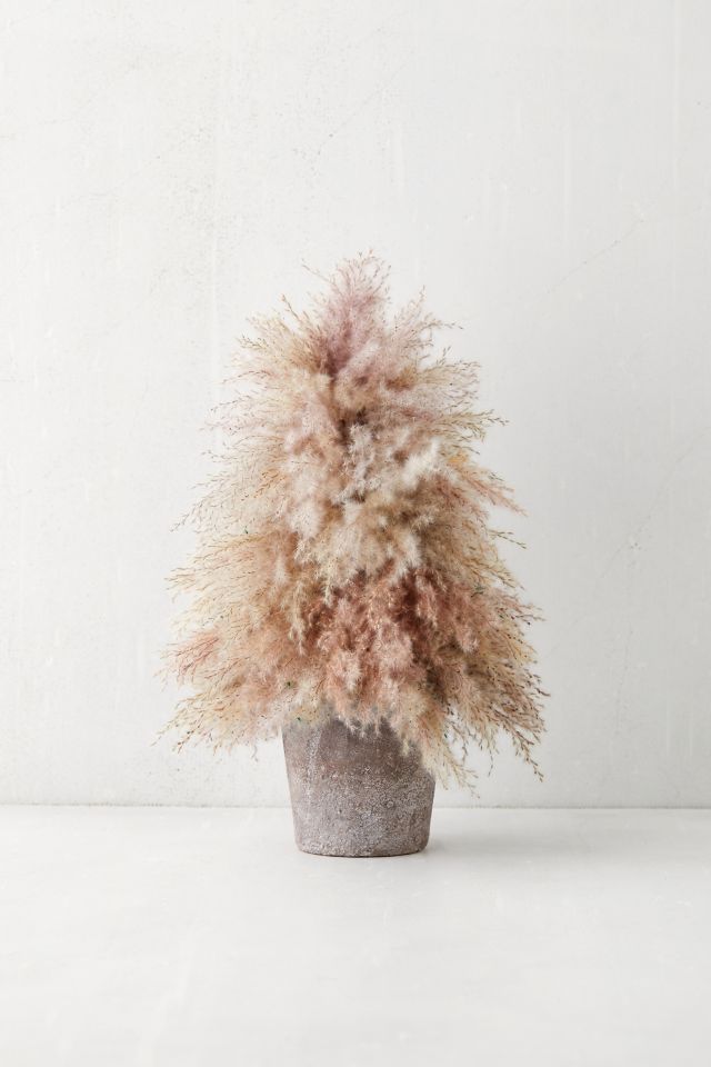 Dried Pampas Grass Christmas Tree #1