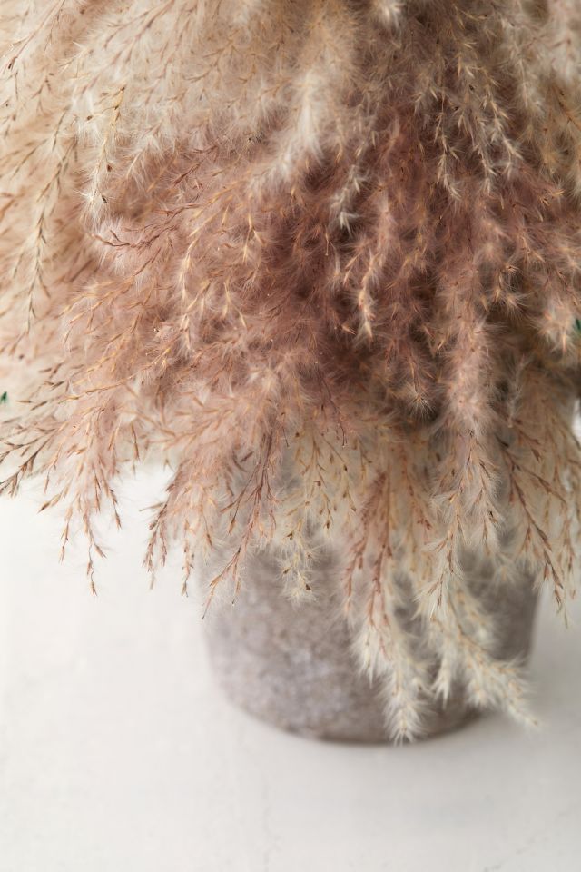 Dried Pampas Grass Christmas Tree #2