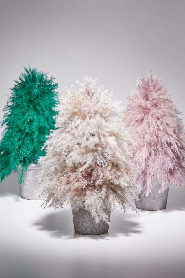 Dried Pampas Grass Christmas Tree #3