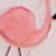 Pink Pony