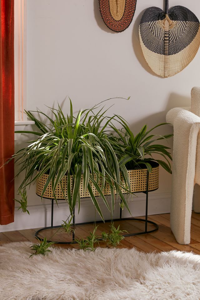 Mabelle Planter #1