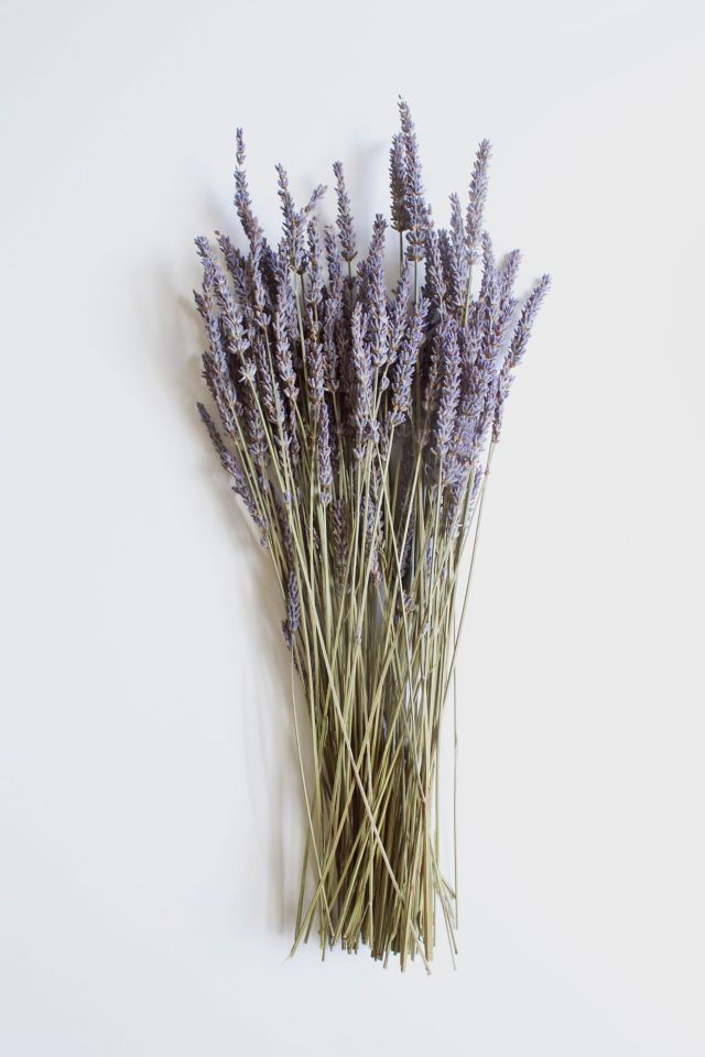 Dried French Lavender Bunches- Set of 2 - New York Lavender by the