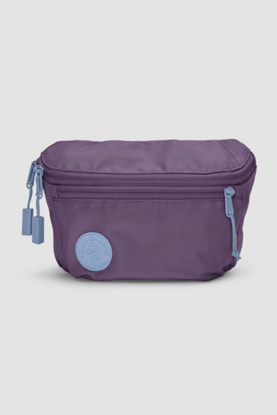 Baboon To The Moon Fannypack In Plum Mode At Urban Outfitters In Purple