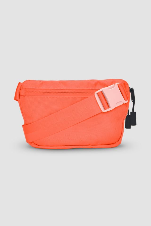BABOON TO THE MOON Fannypack #2
