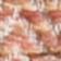 Rose Rust