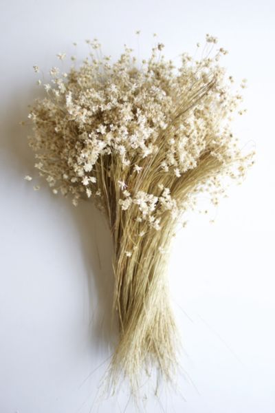 Roxanne's Dried Flowers Star Flowers