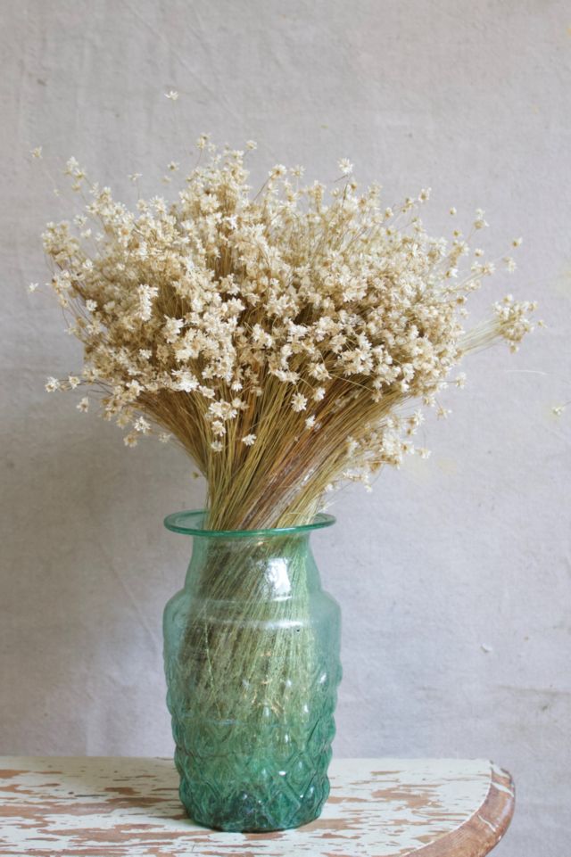 Roxanne's Dried Flowers Star Flowers #2