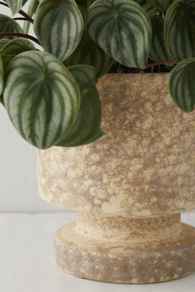 Lila Planter #3