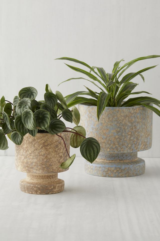 Lila Planter #4