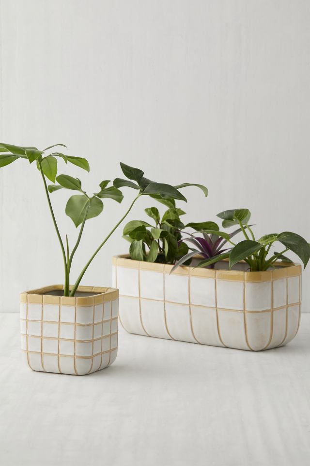 Kai Planter #1