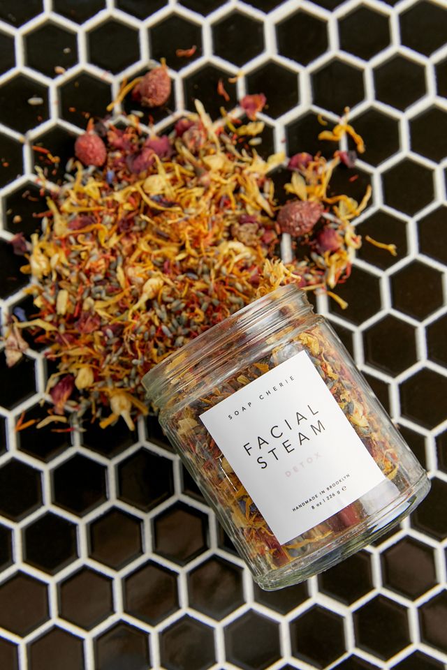 Soap Cherie Facial Steamer Urban Outfitters Canada