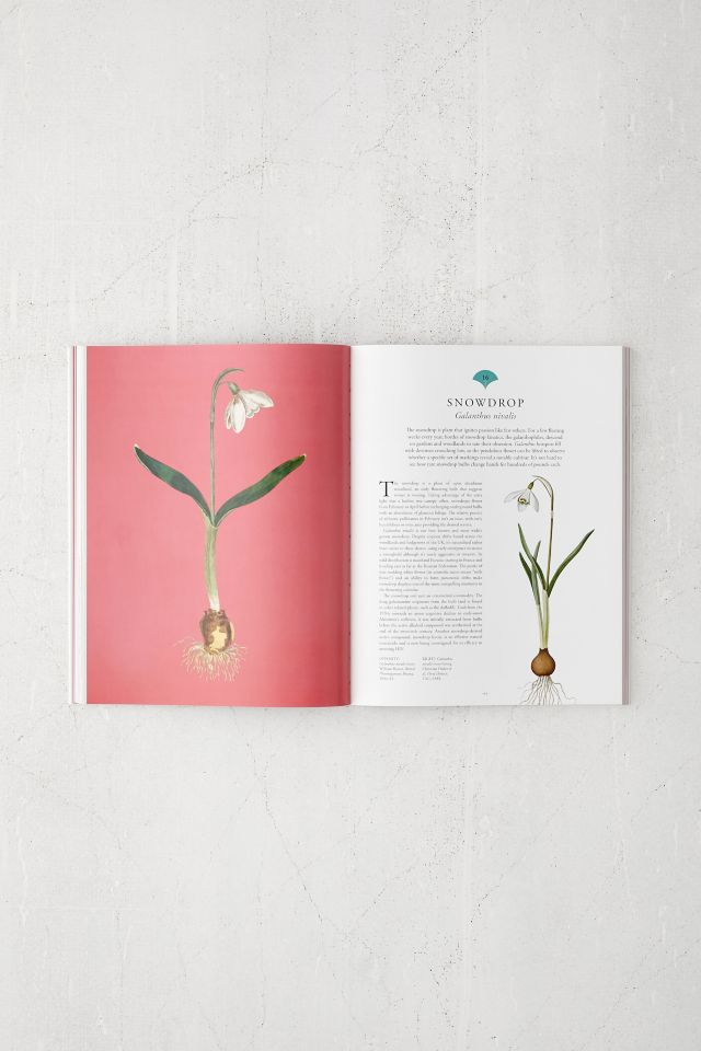 Kew: Rare Plants By Ed Ikin #3