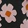 Floral Multi