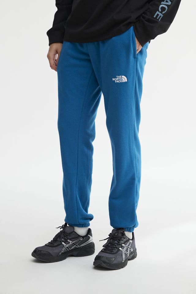 The north discount face poly joggers