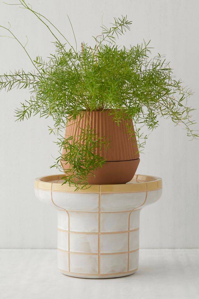 Kai Plant Stand #1