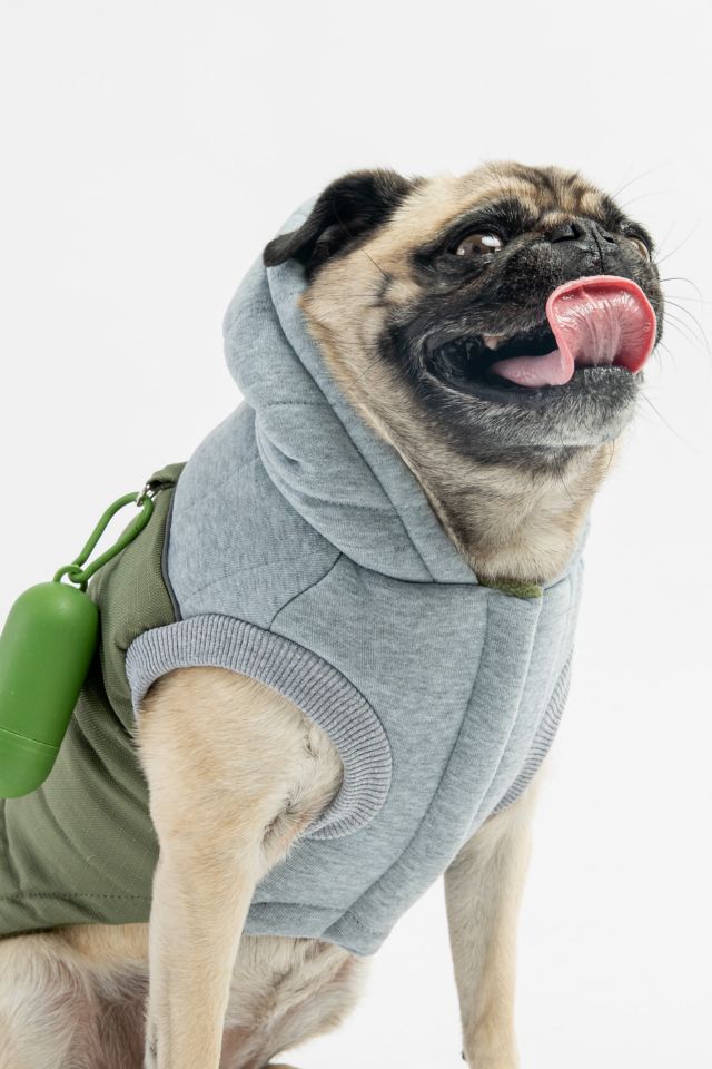 Silver paw hot sale dog jacket