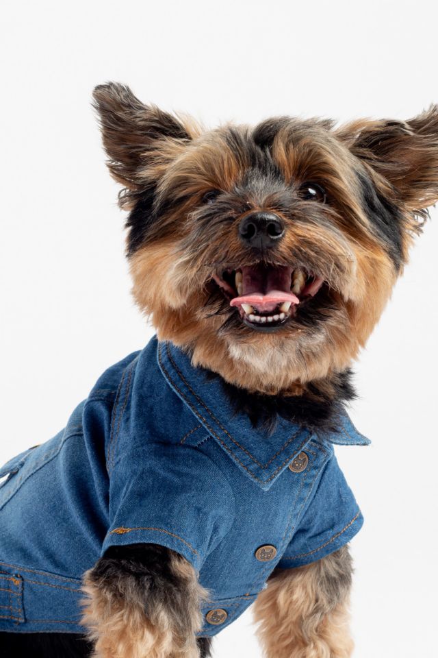 Silver Paw Dog Jean Jacket