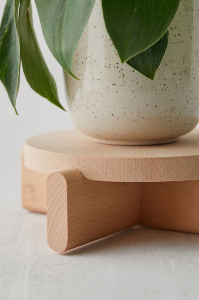 Areaware Plant Pedestal Set #2