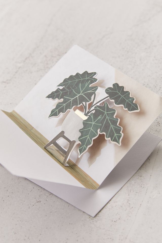 Boîte d'ensemble de cartes de souhaits dépliantes de plantes en pot #1