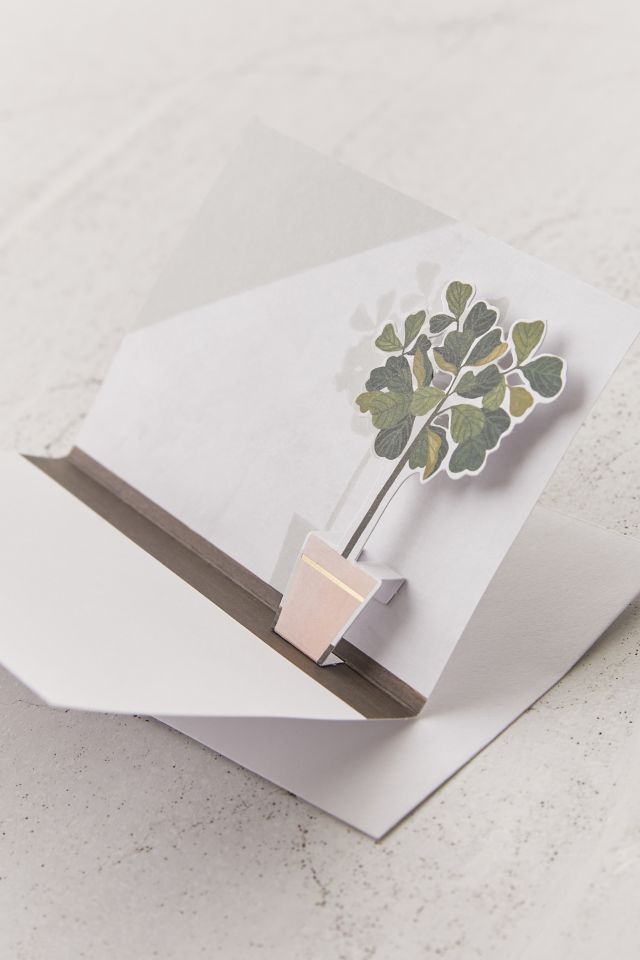 Boîte d'ensemble de cartes de souhaits dépliantes de plantes en pot #2