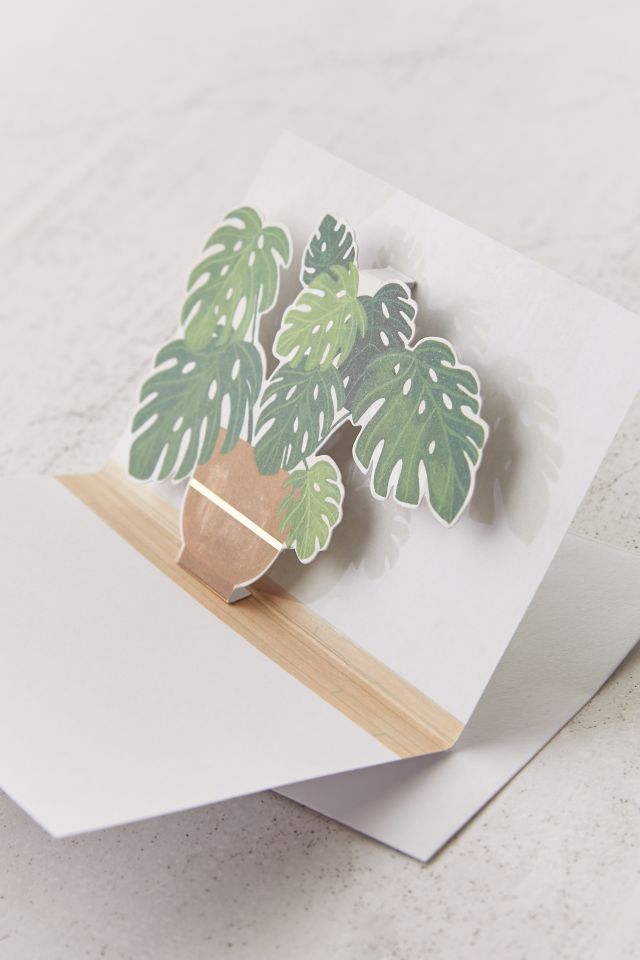 Boîte d'ensemble de cartes de souhaits dépliantes de plantes en pot #3