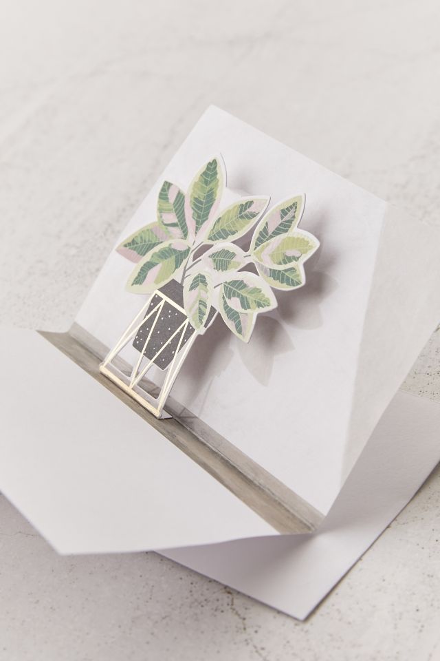 Boîte d'ensemble de cartes de souhaits dépliantes de plantes en pot #4