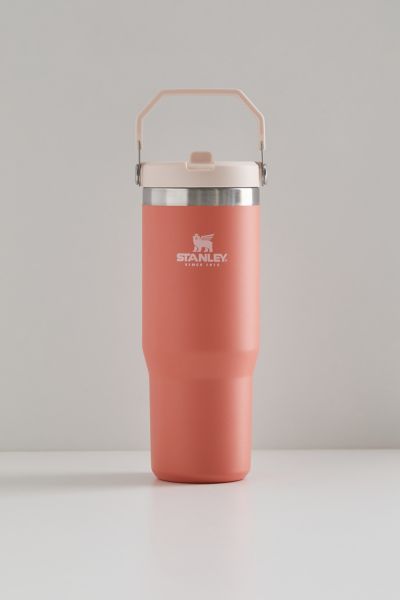 Urban Outfitters Stanley Quencher 20 oz Travel Tumbler