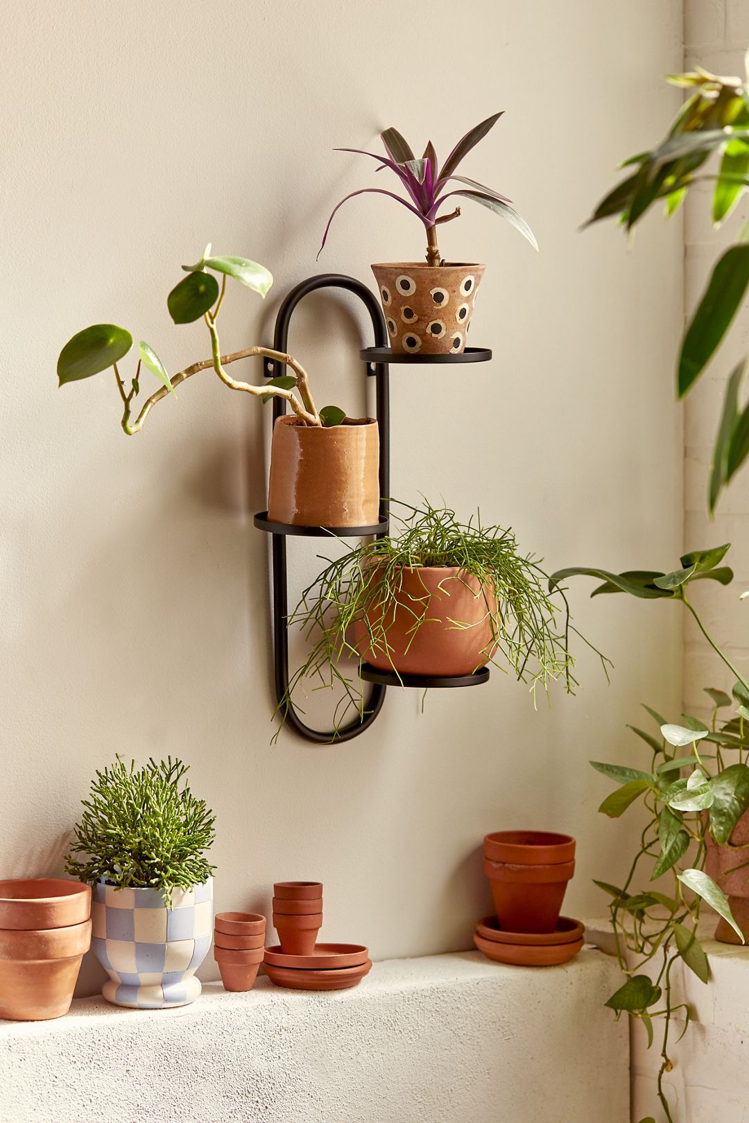Wall Mounted Plant Stand - Black, Regular, ONE SIZE