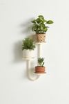 Wall Mounted Plant Stand