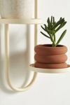Wall Mounted Plant Stand