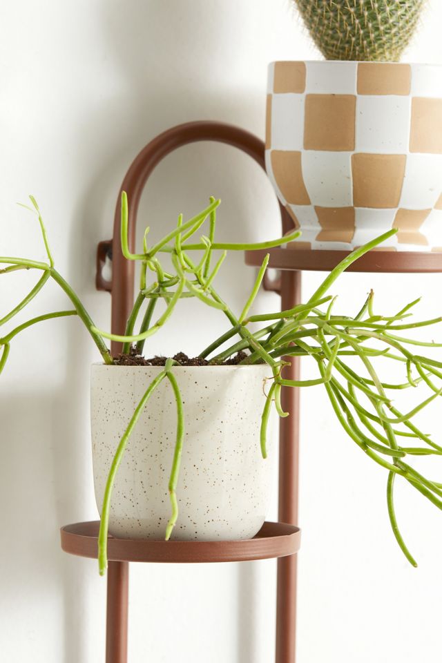 Wall Mounted Plant Stand #3