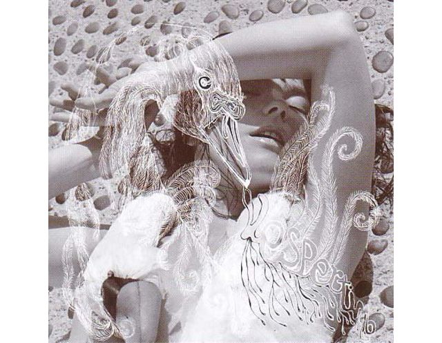 Bjork - Vespertine LP #1