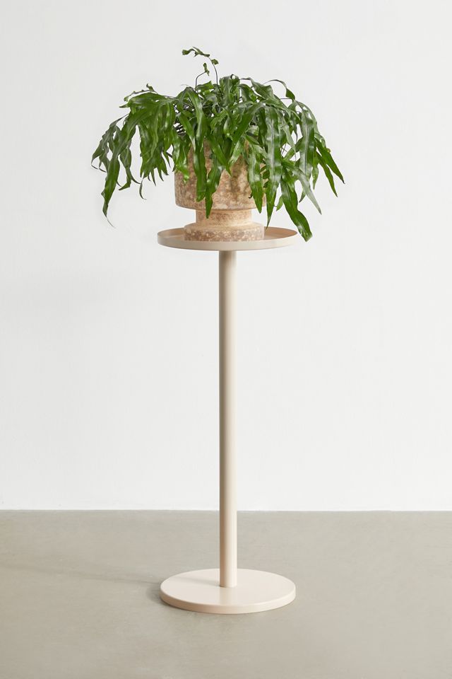 Parul Plant Stand #1