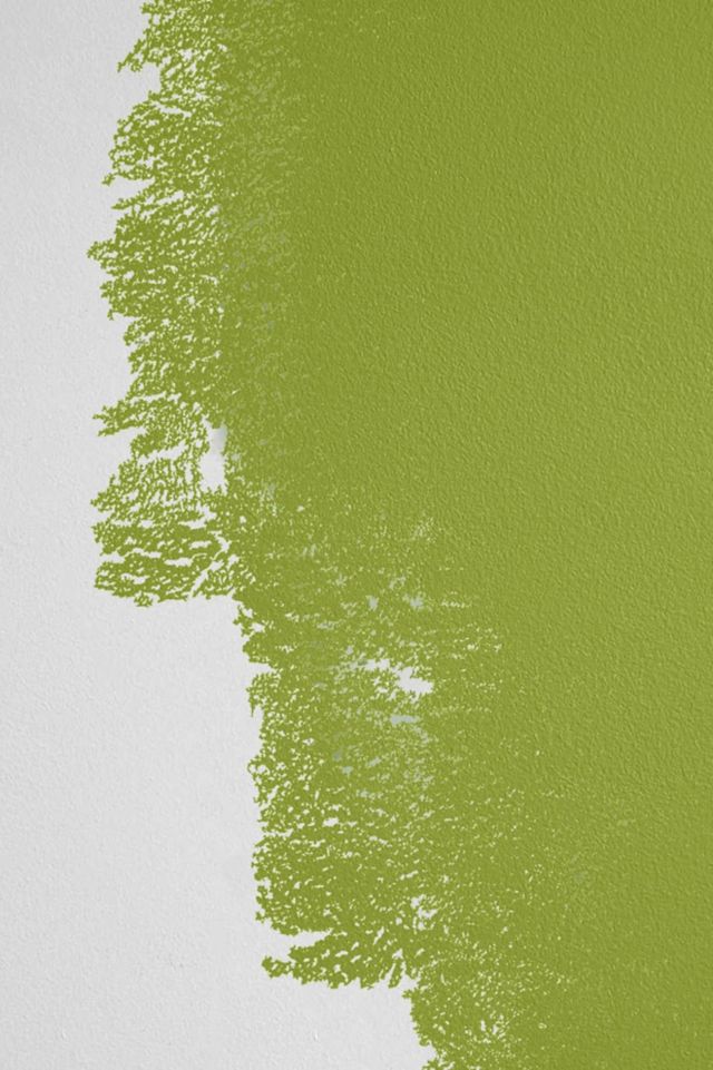 Backdrop Standard Finish Paint - 1 Gallon #1