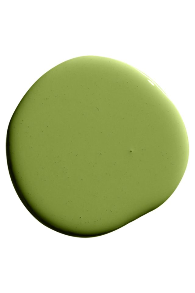 Backdrop Standard Finish Paint - 1 Gallon #2