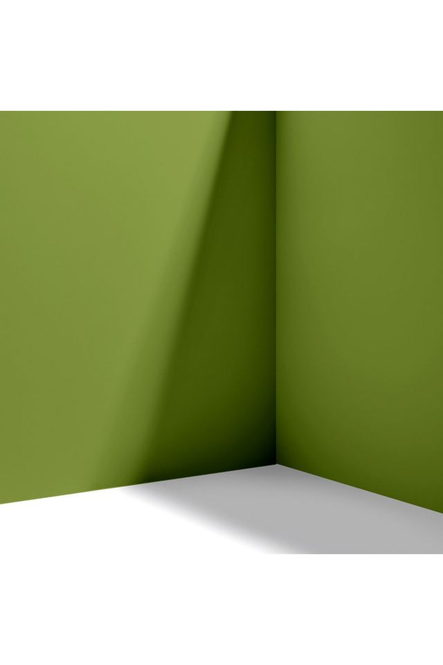 Backdrop Standard Finish Paint - 1 Gallon #3
