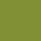 Pretty Ugly - Vibrant, Bold Olive Green