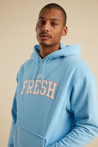 levi's relaxed graphic hoodie