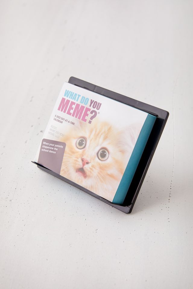 What Do You Meme 2022 Desk Calendar #2