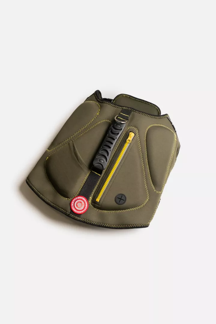 dog life jacket