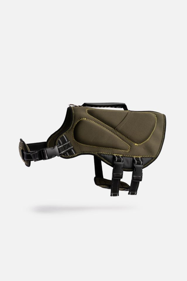 Silver Paw Dog Neoprene Life Jacket #4