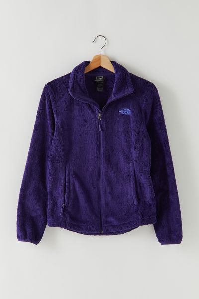 royal blue north face fleece jacket