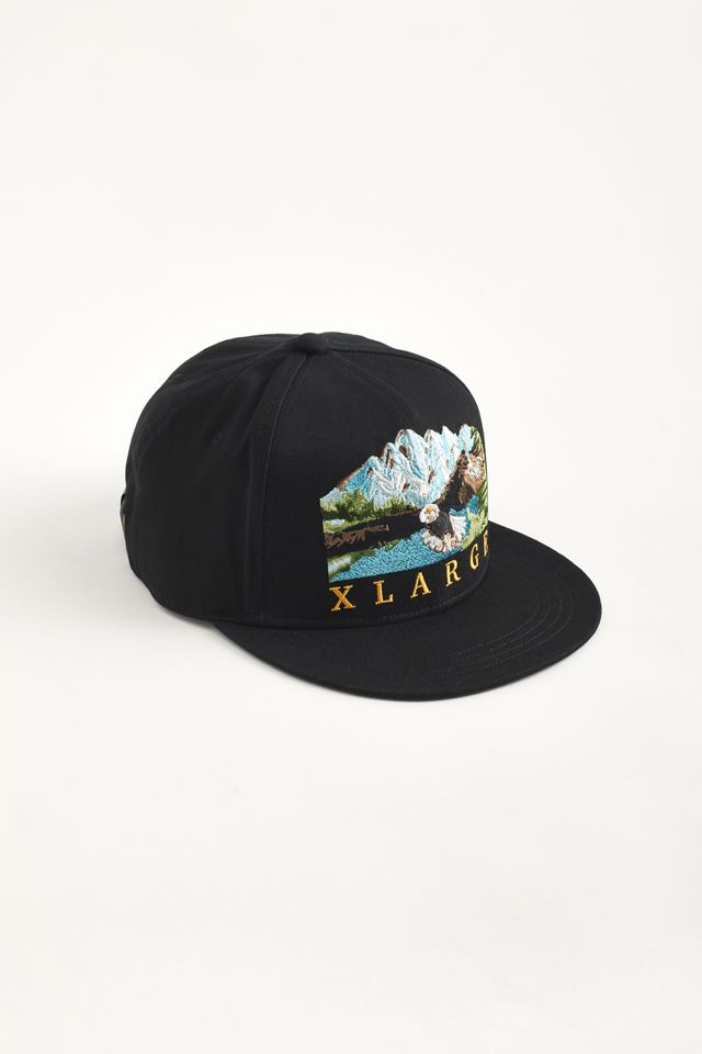 XLARGE Lake Baseball Hat Urban Outfitters