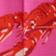 Pink Lobster