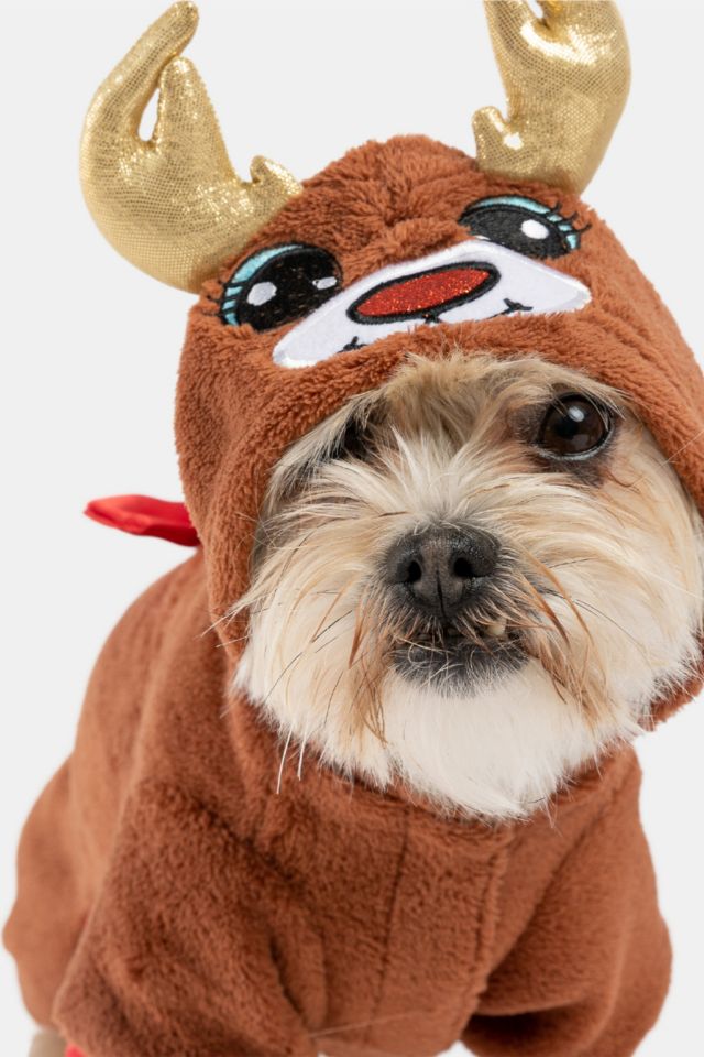 Dog on sale reindeer outfit