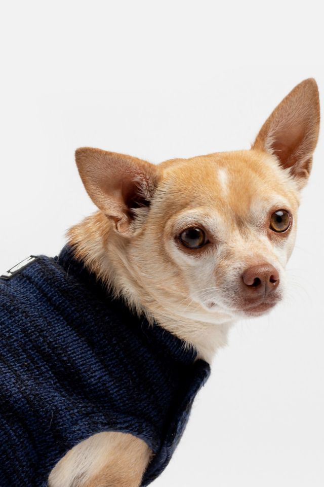 Silver Paw Dog Mia Fleece Lined Sweater #4