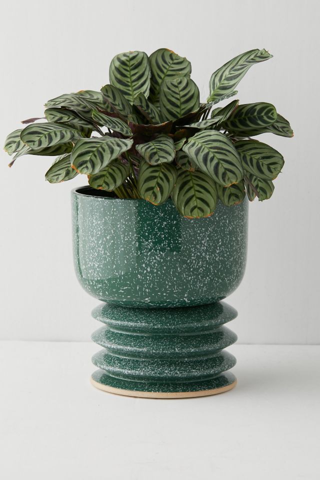 Krya Planter #1