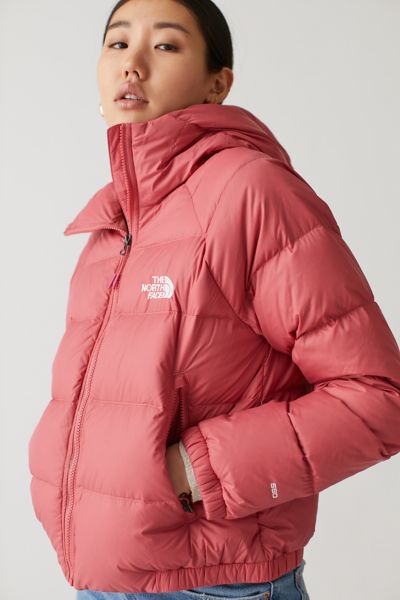 hooded down jacket north face